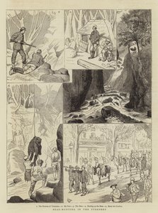 Berenjacht in de Pyreneeën door Alfred Chantrey Corbould